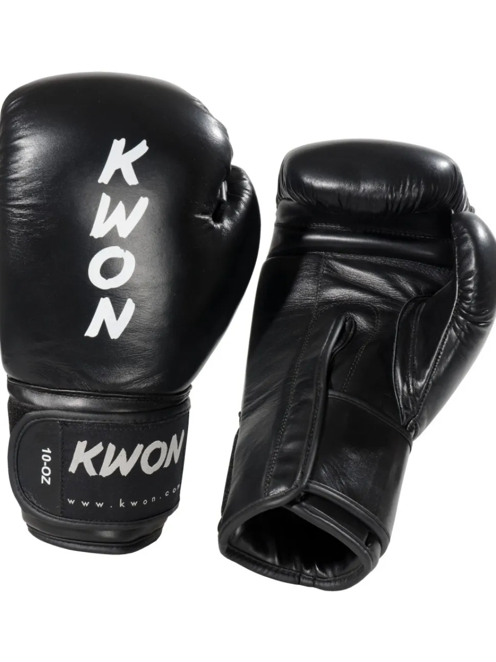 Boxhandschuhe Ergo Champ