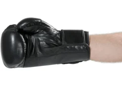 Boxhandschuhe Ergo Champ
