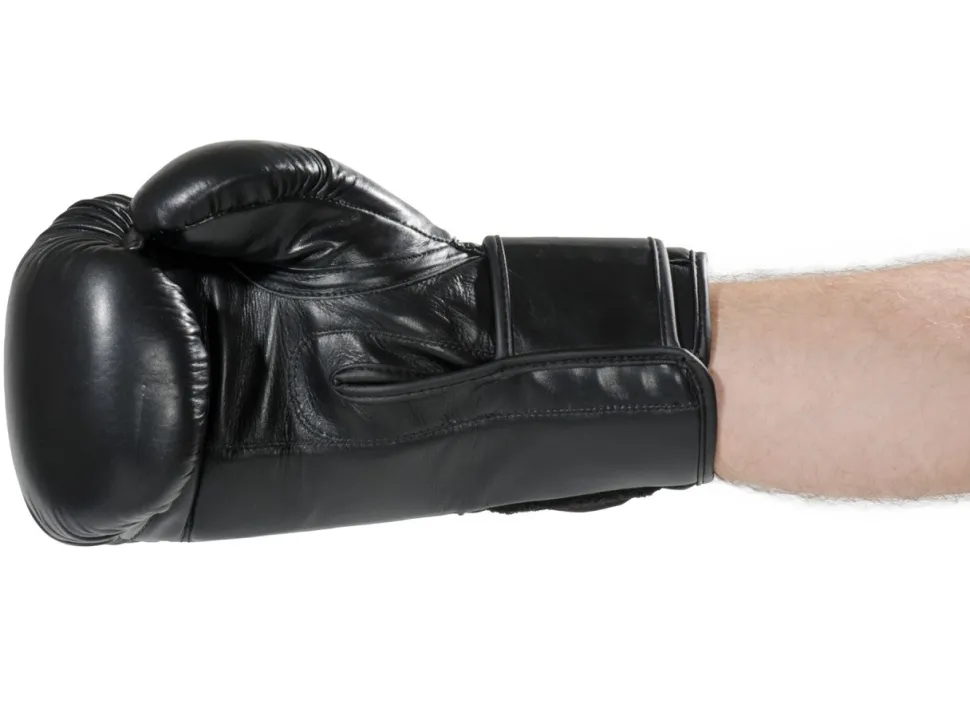 Boxhandschuhe Ergo Champ
