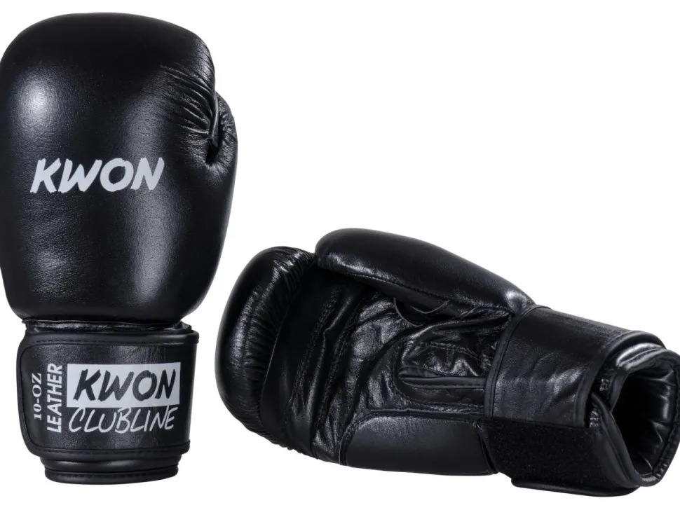 Boxhandschuhe Pointer Echtleder