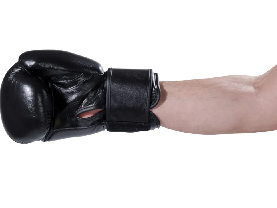 Boxhandschuhe Pointer Echtleder