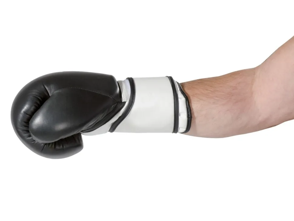 Boxhandschuhe Super Champ