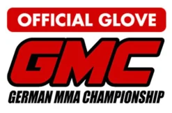 FIGHTNATURE MMA Handschuhe Leder