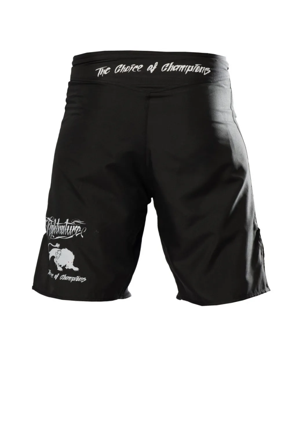 FIGHTNATURE MMA Shorts schwarz